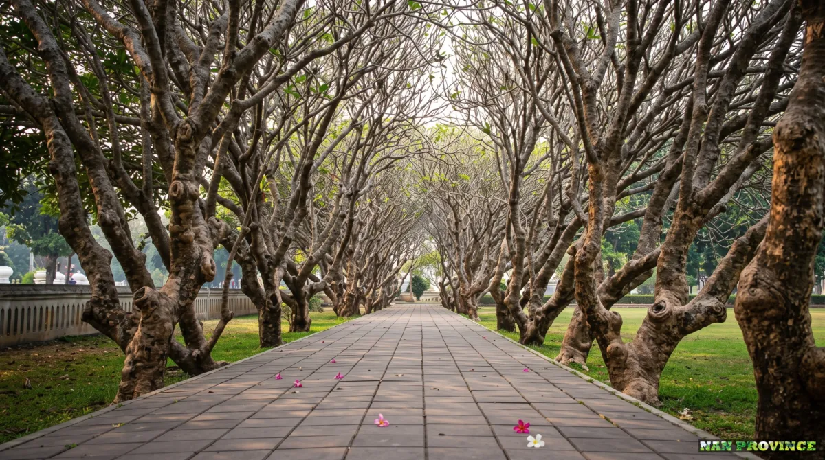 Cycling beneath the fragrant Frangipani tree tunnel near Nan National Museum